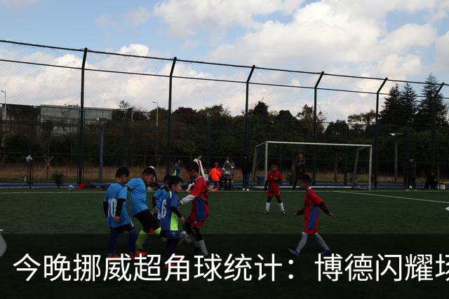 今晚挪威超角球统计：博德闪耀场均7.3，维京场均5.8